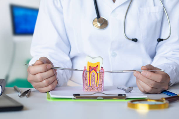 Best Emergency Tooth Extraction in Williamsburg, VA